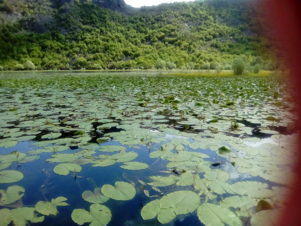 Rijeka Crnojevića Guest House Perjanik المظهر الخارجي الصورة